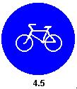 45.gif (749 bytes)